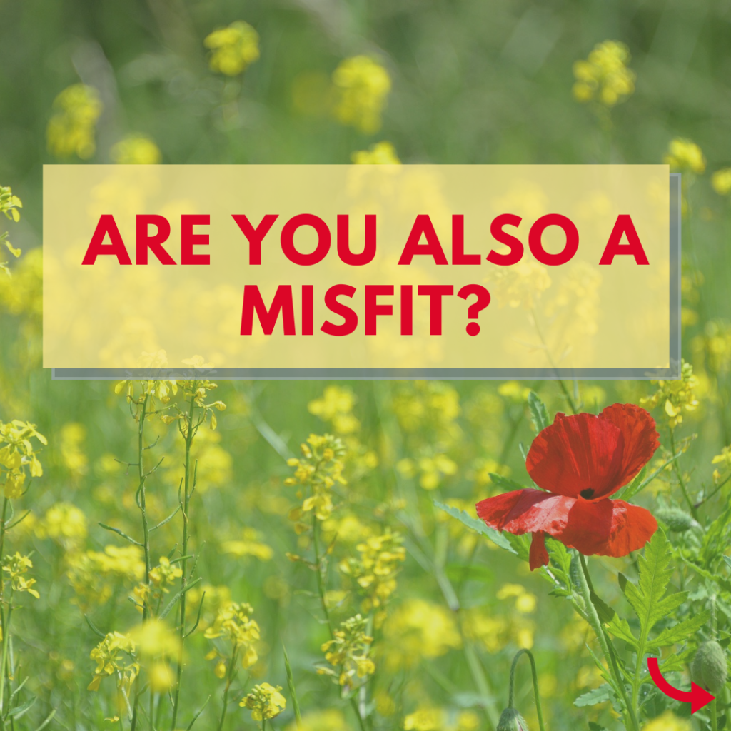 misfit manjit sargam chawla